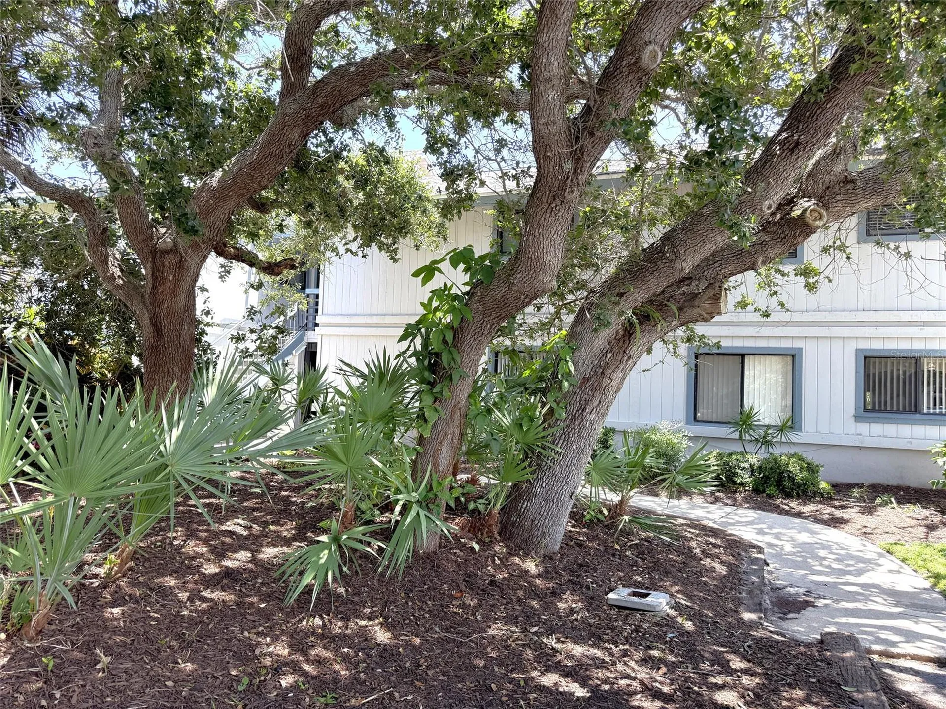4405 Sea Mist Drive New Smyrna Beach FL 32169