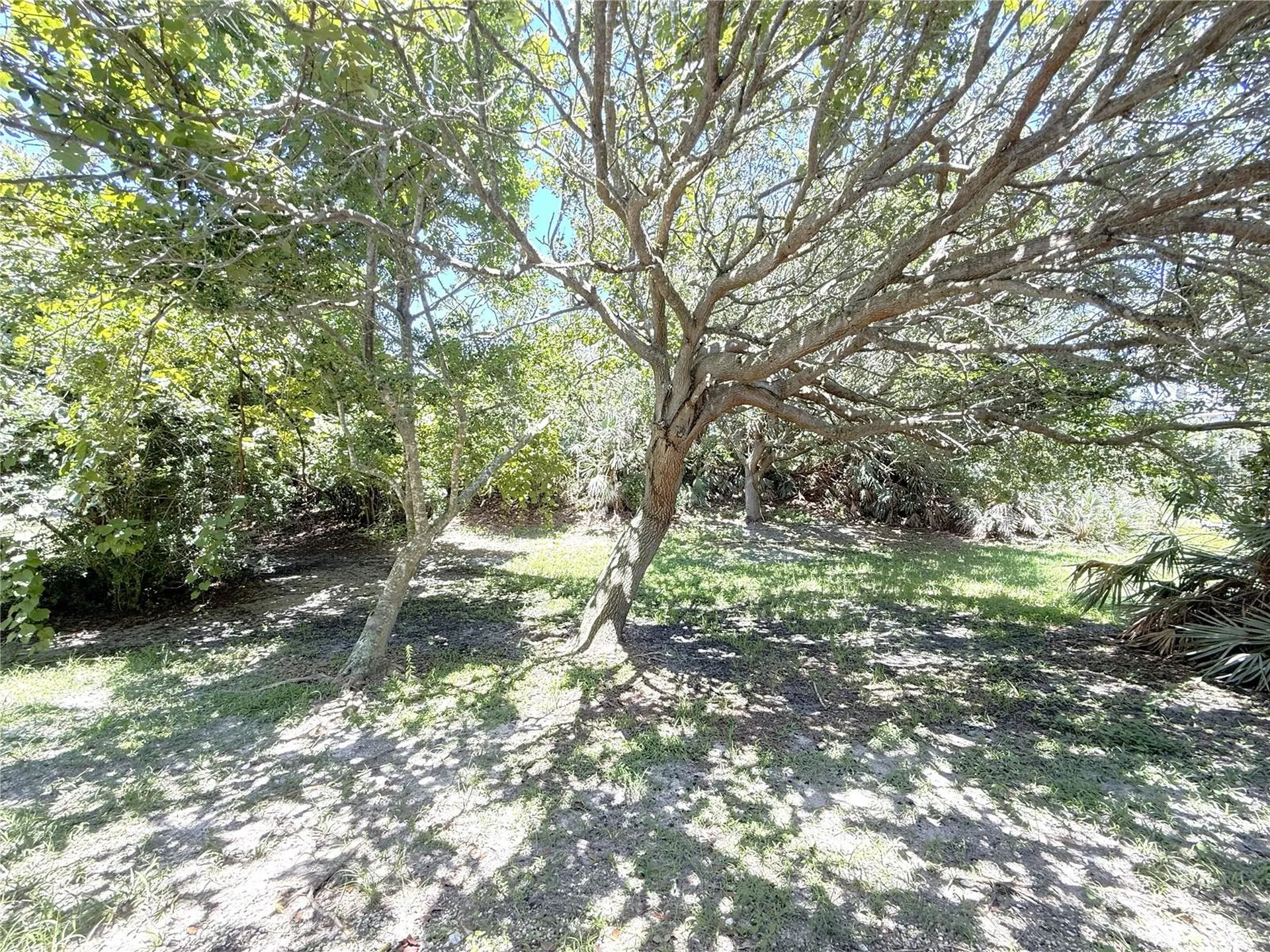 4405 Sea Mist Drive New Smyrna Beach FL 32169