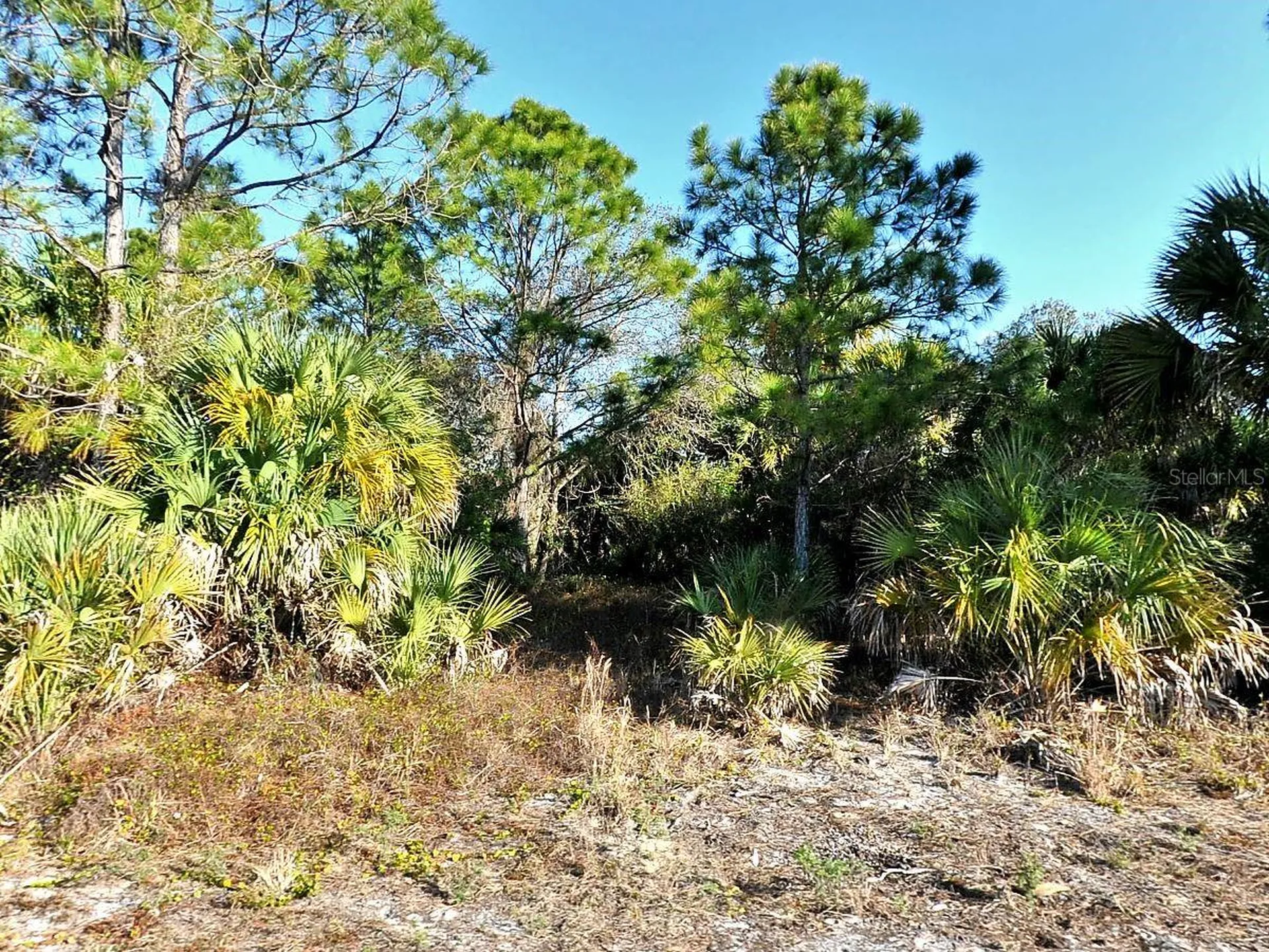 3343 Vineyard Circle North Port FL 34288