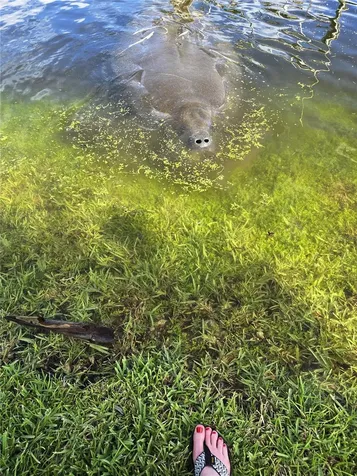 10906 W Cove Harbor Drive Crystal River FL 34428