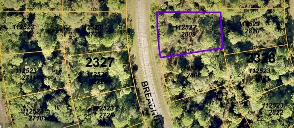 Breadnut Street North Port FL 34288
