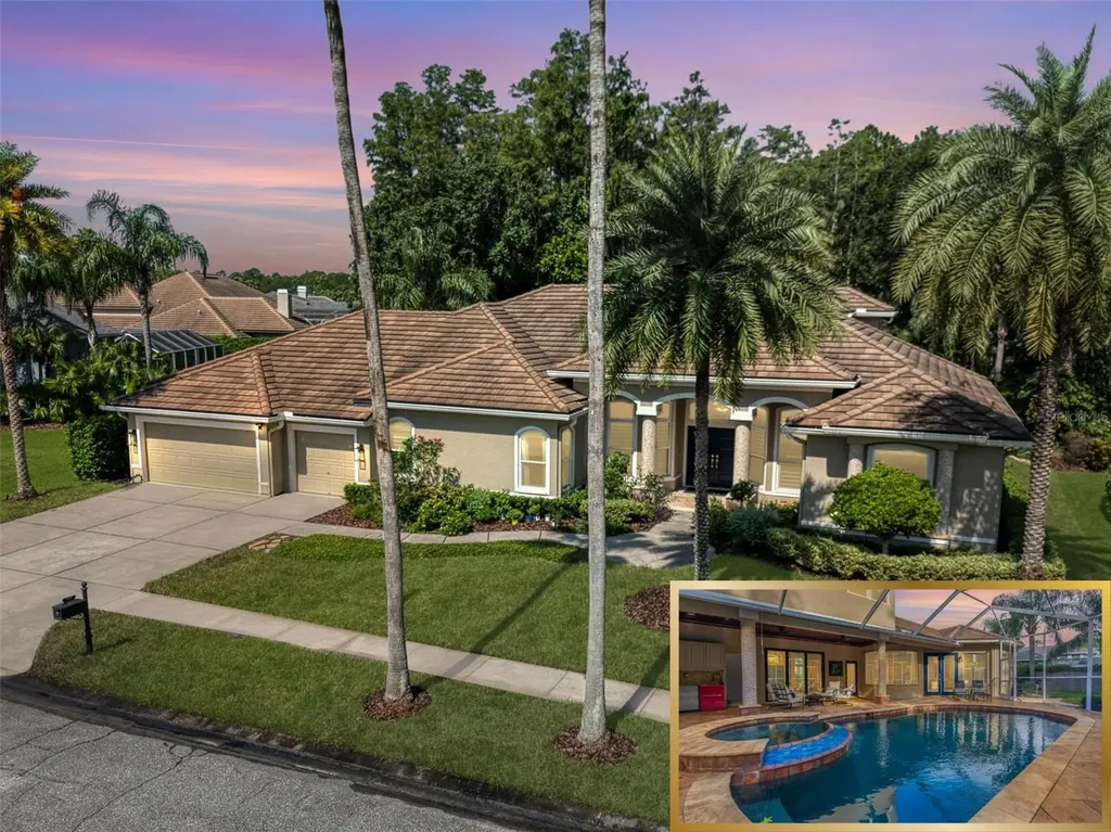 12031 Brewster Drive Tampa FL 33626