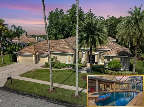 12031 Brewster Drive Tampa FL 33626