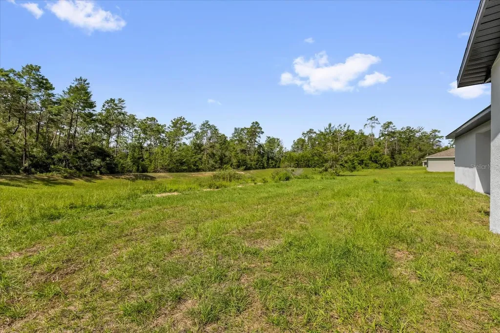 17190 SW 44th Circle Ocala FL 34473