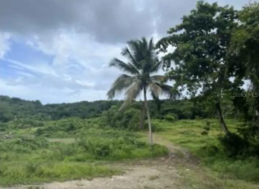 El Zarzal Rio Grande PR 00745