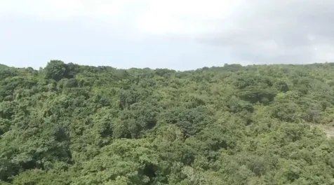 El Zarzal Rio Grande PR 00745