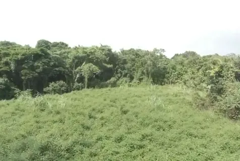 El Zarzal Rio Grande PR 00745