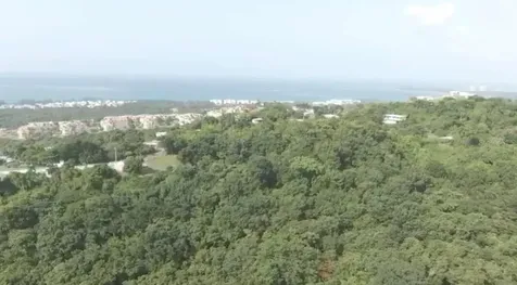 El Zarzal Rio Grande PR 00745
