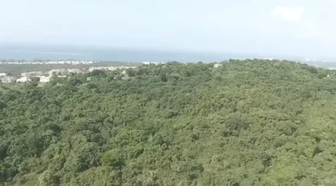 El Zarzal Rio Grande PR 00745