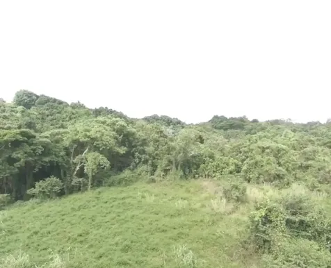 El Zarzal Rio Grande PR 00745