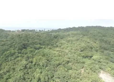 El Zarzal Rio Grande PR 00745