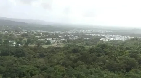 El Zarzal Rio Grande PR 00745