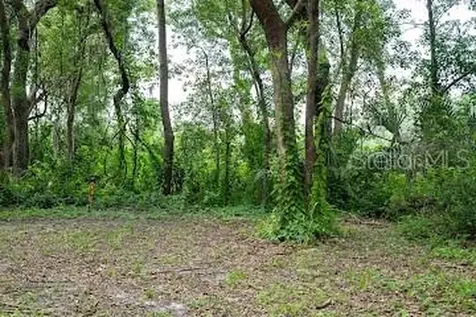 8641 High Street Yalaha FL 34797