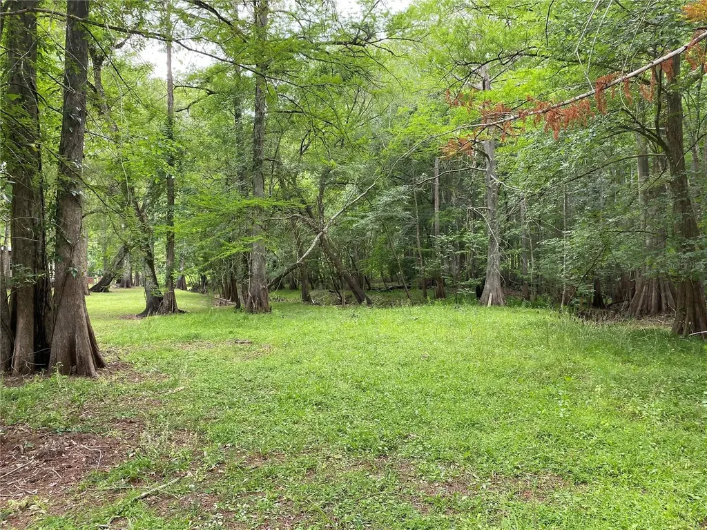 8412 Cr 647 Bushnell FL 33513