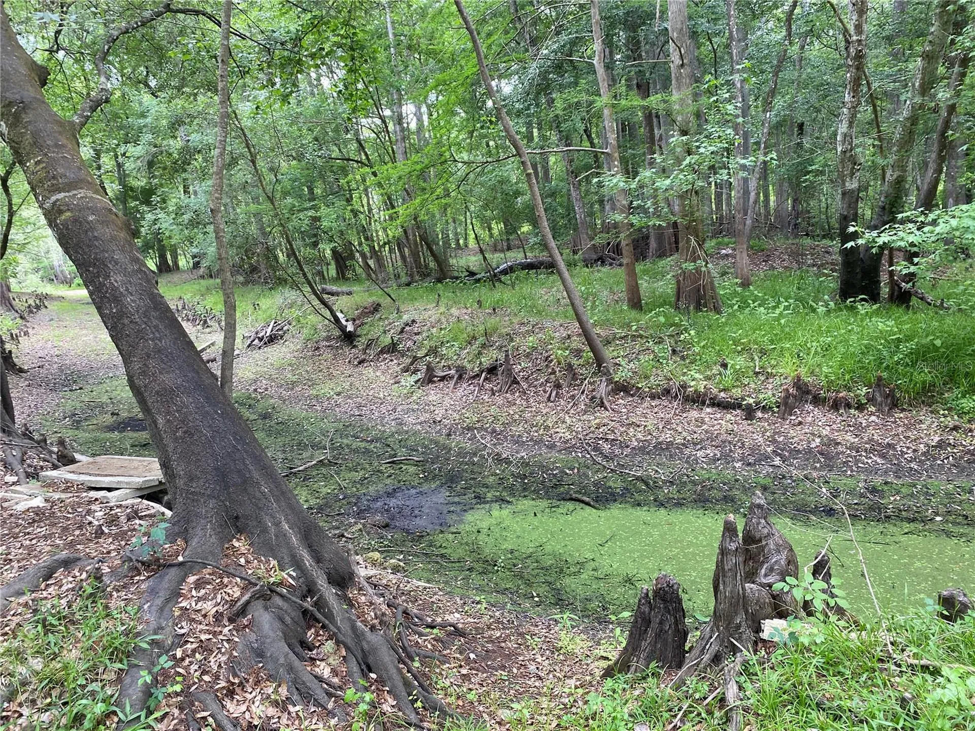 8412 Cr 647 Bushnell FL 33513