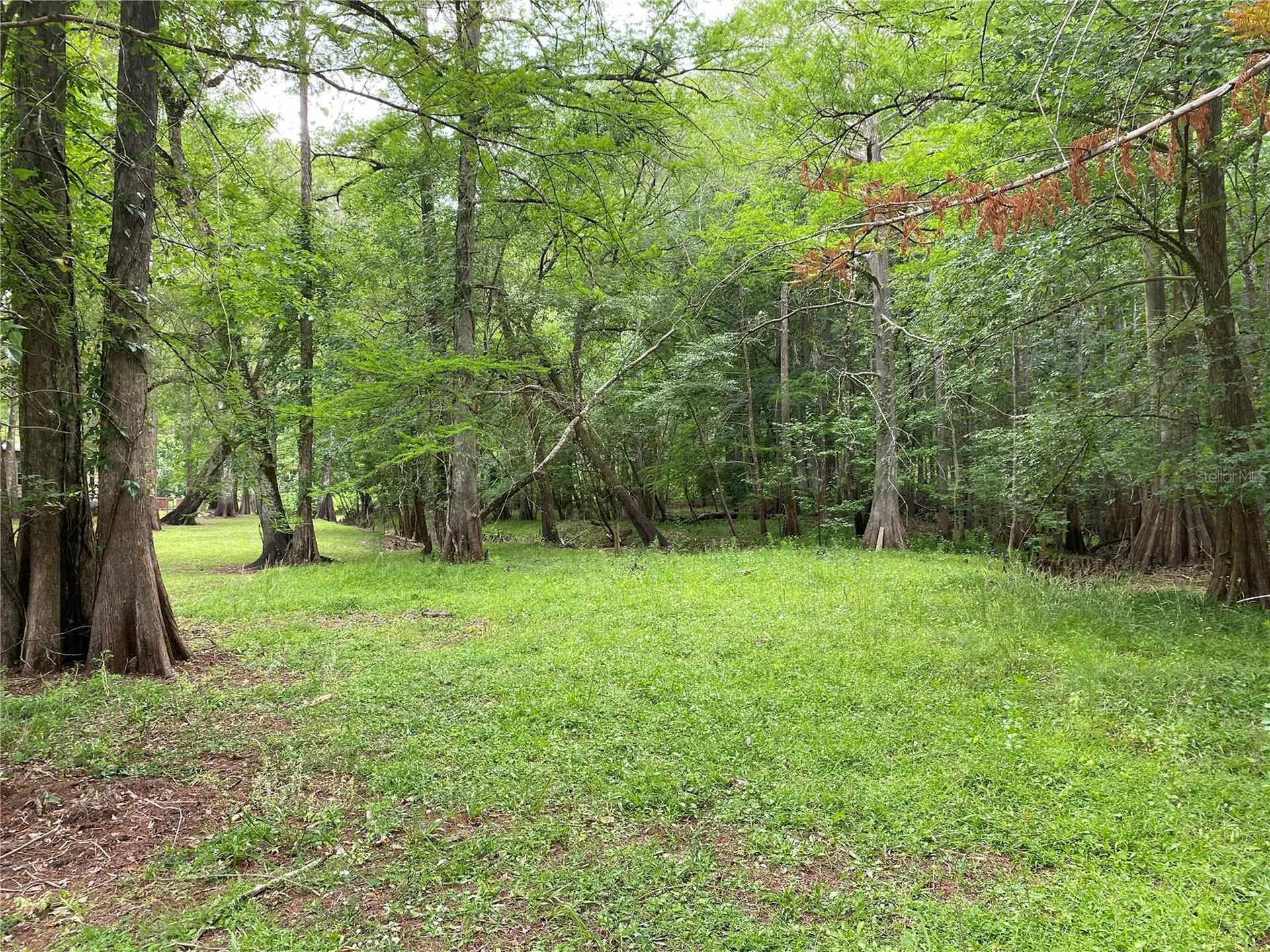 8412 Cr 647 Bushnell FL 33513