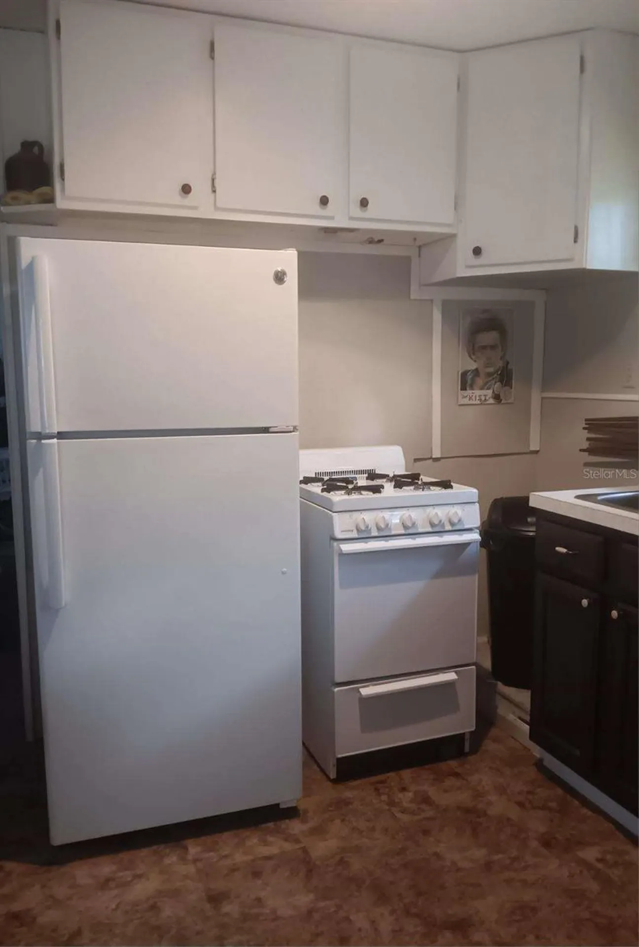 2693 Cr 426f Lake Panasoffkee FL 33538