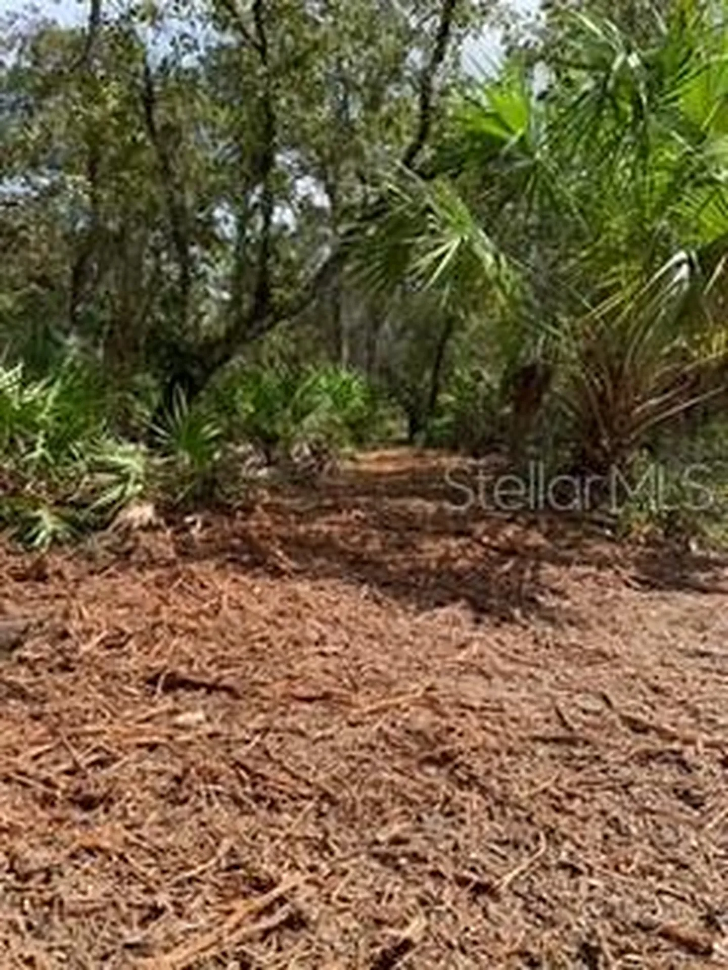 18429 Retriever Road Weeki Wachee FL 34614