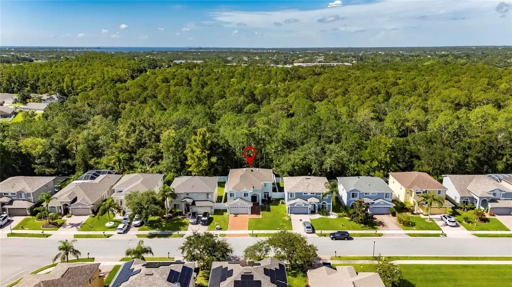 382 Rosalind Lane Oldsmar FL 34677