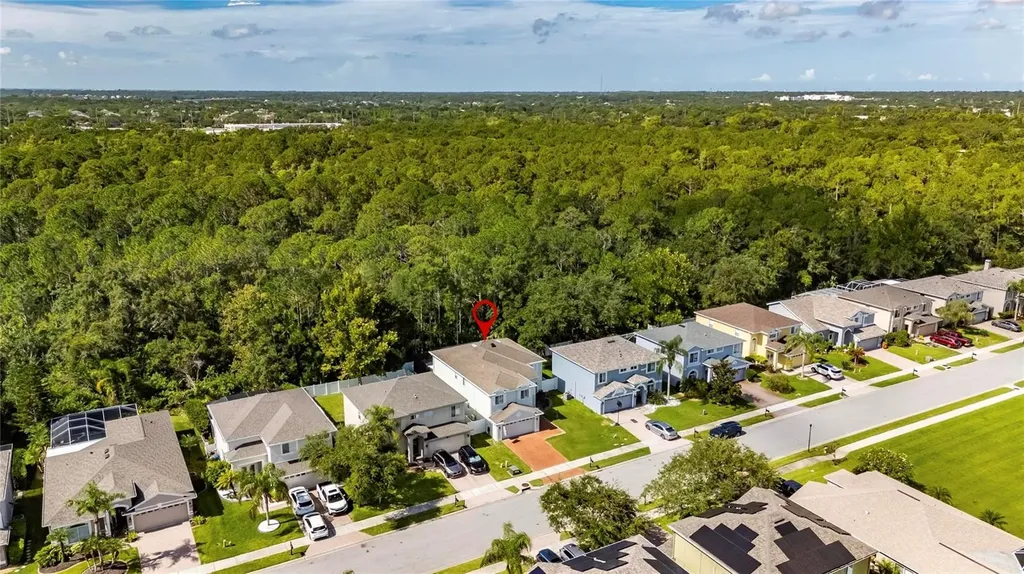 382 Rosalind Lane Oldsmar FL 34677