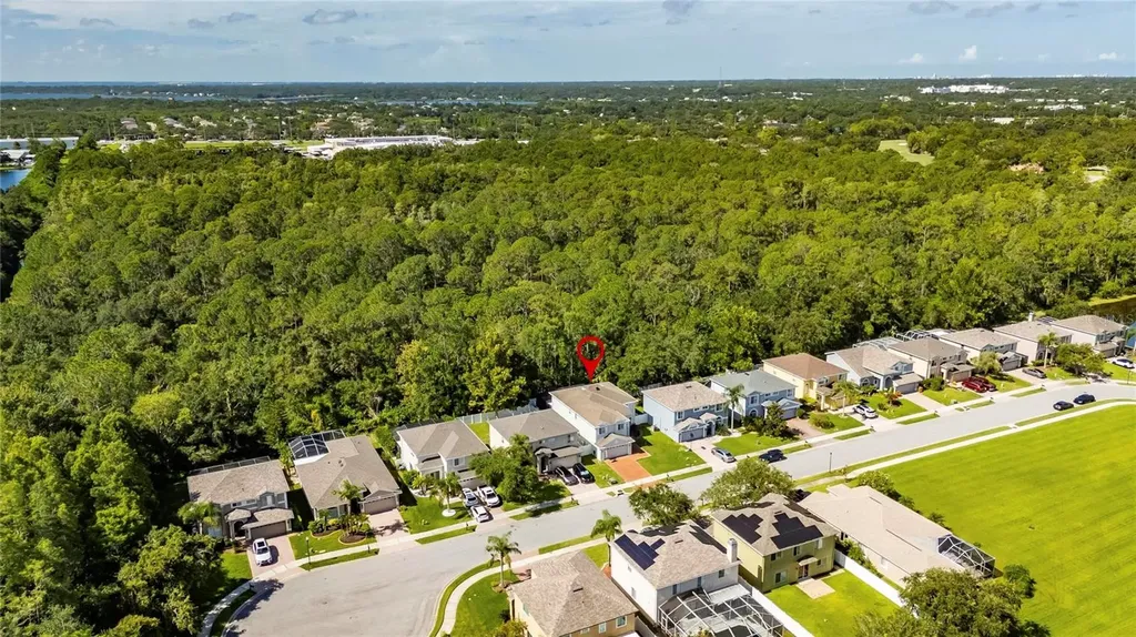 382 Rosalind Lane Oldsmar FL 34677