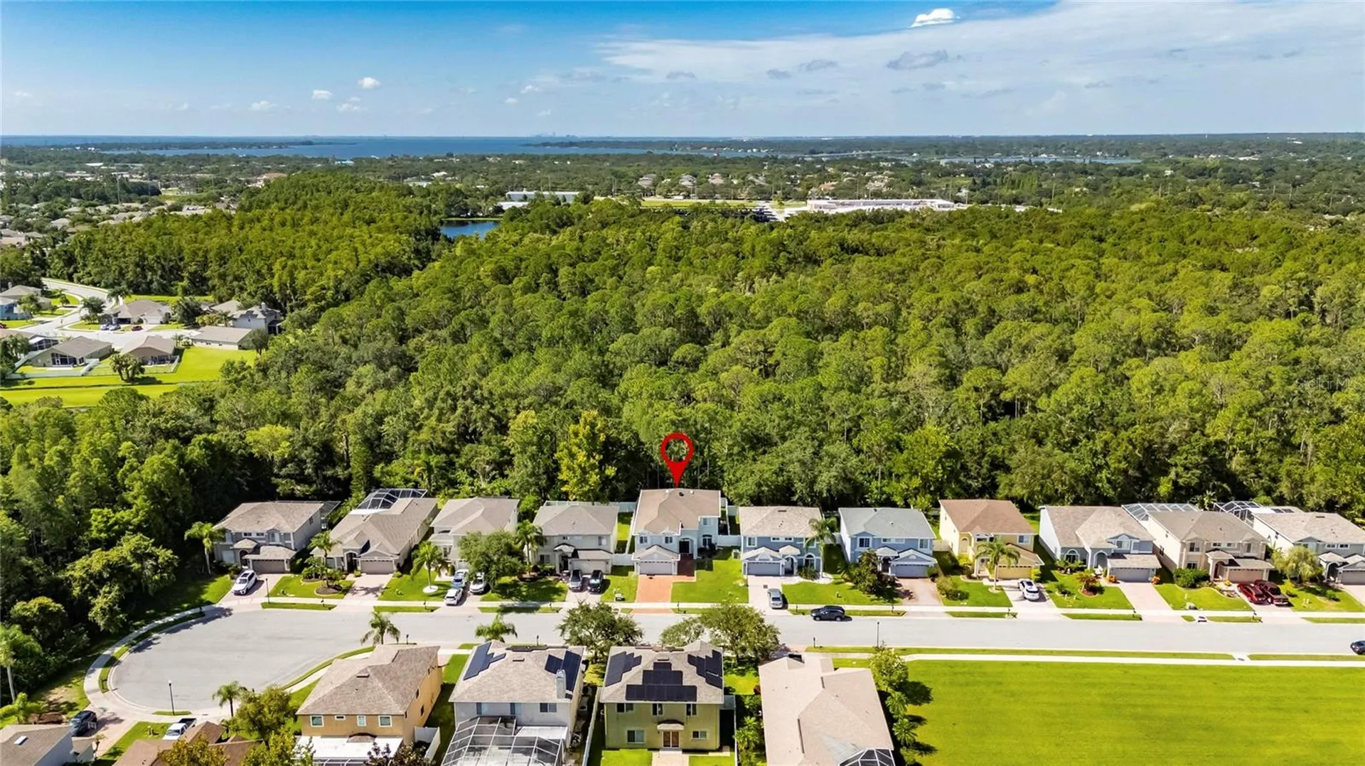 382 Rosalind Lane Oldsmar FL 34677