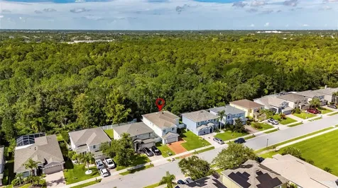 382 Rosalind Lane Oldsmar FL 34677