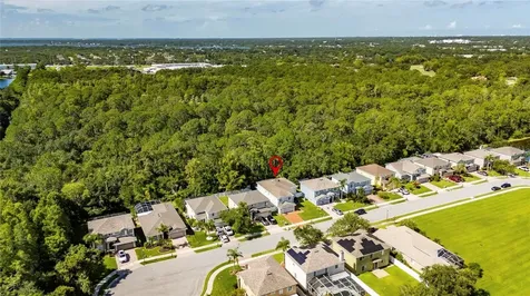 382 Rosalind Lane Oldsmar FL 34677