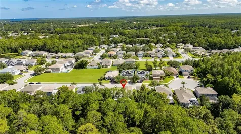 382 Rosalind Lane Oldsmar FL 34677