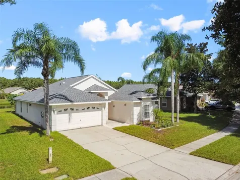 19521 Morden Blush Drive Lutz FL 33558