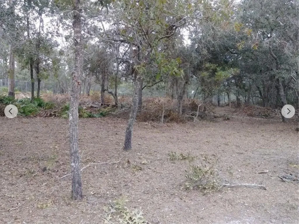 9468 Marengo Street Weeki Wachee FL 34613