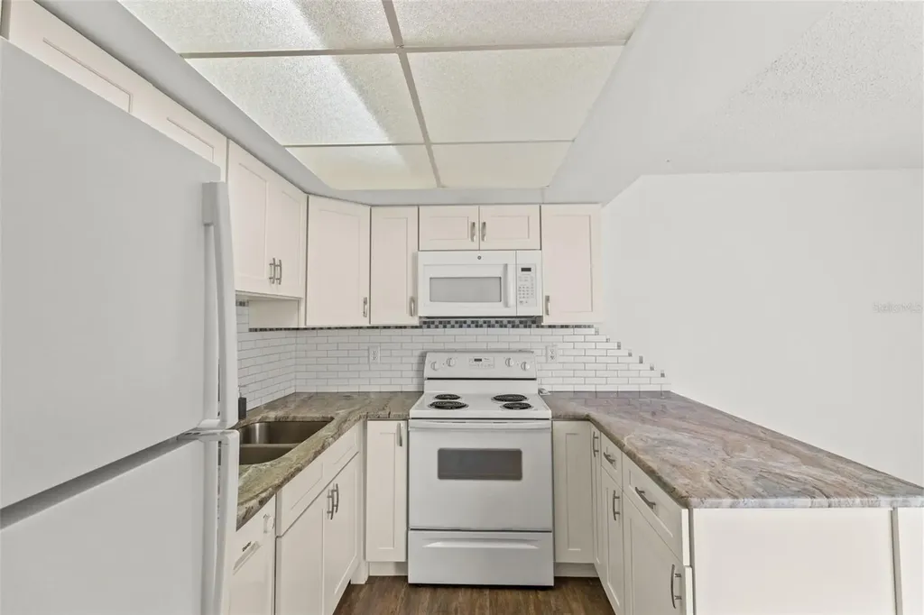 1163 Orange Tree Circle W Palm Harbor FL 34684