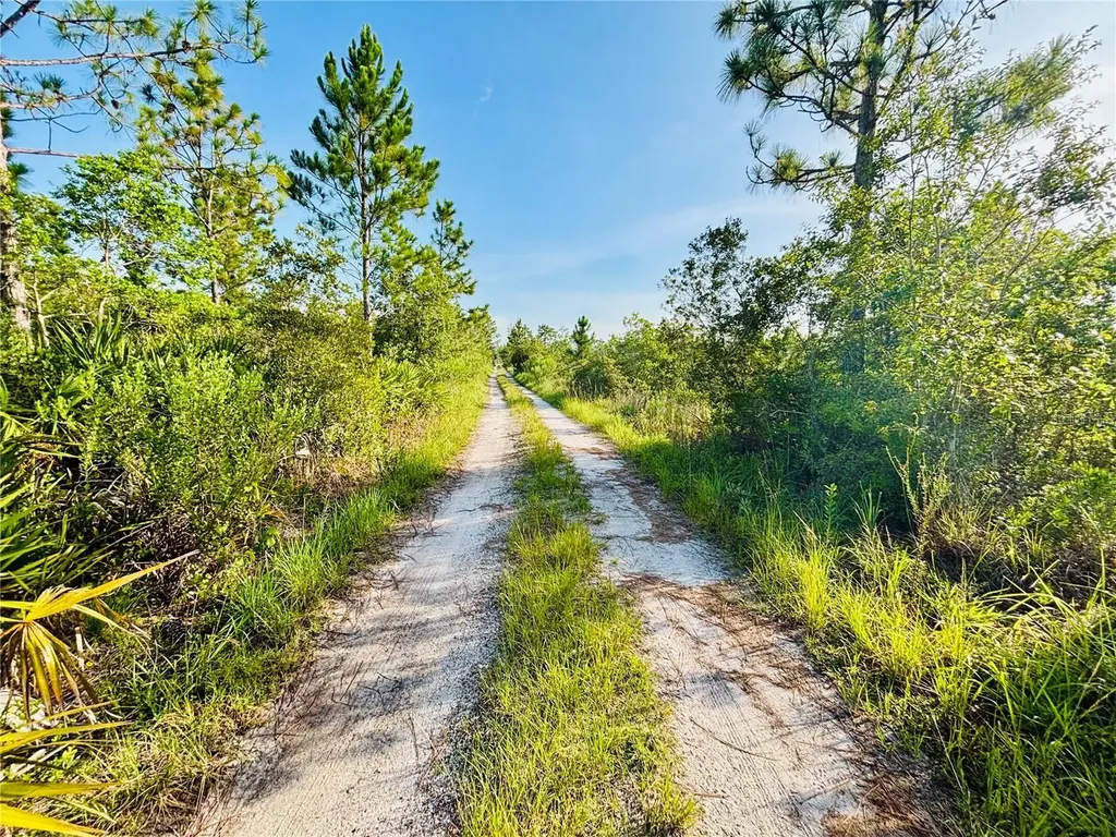 0 Shakedown Street St Cloud FL 34773