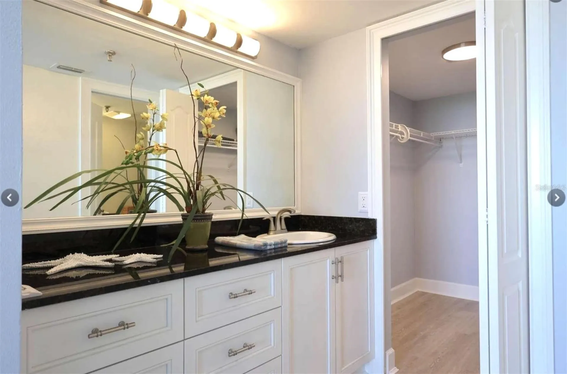 6372 Palma Del Mar Boulevard S St Petersburg FL 33715