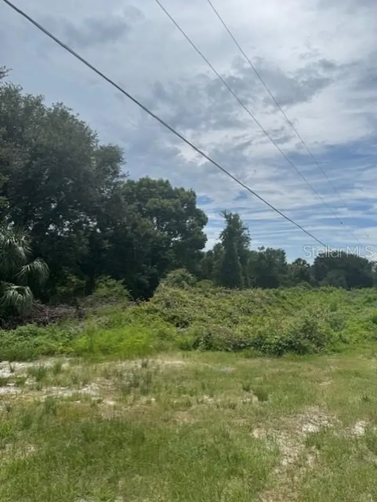 1306 Pell Road Osteen FL 32764