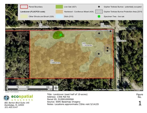 1306 Pell Road Osteen FL 32764