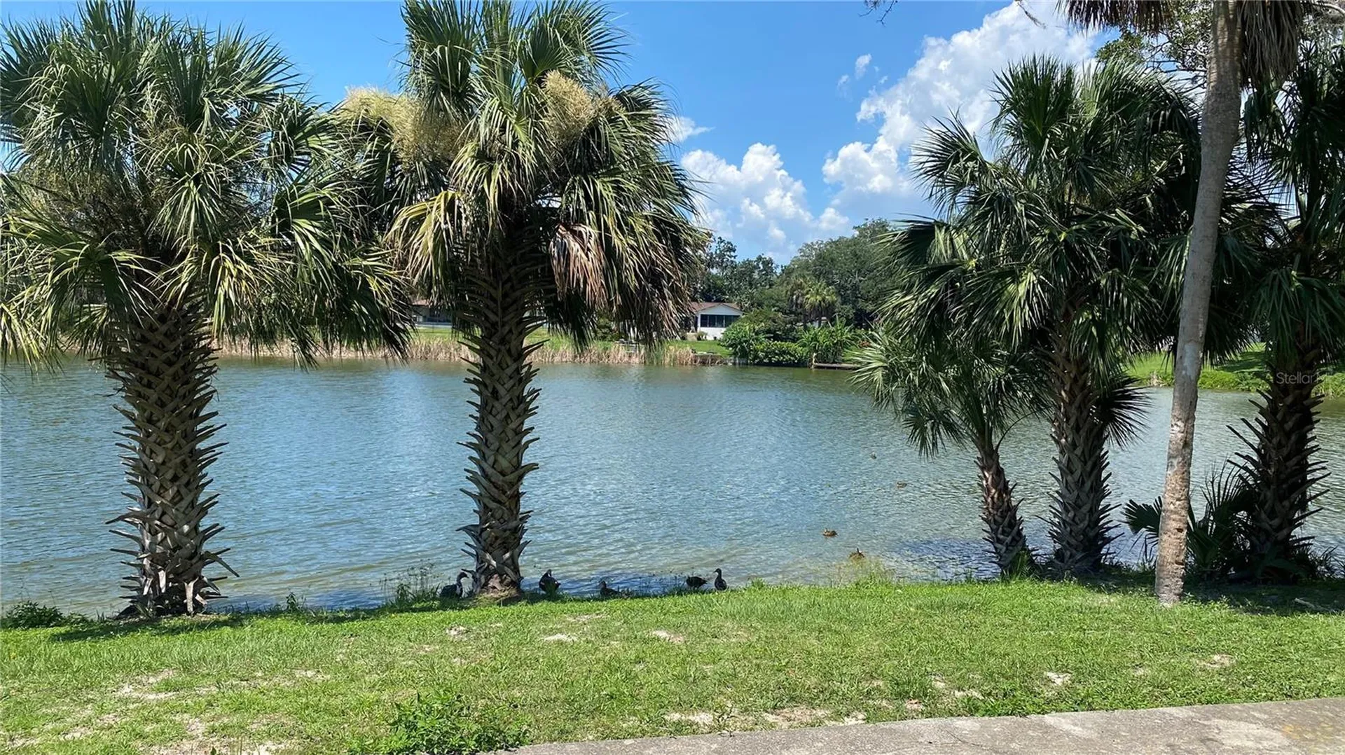 7624 Lake Forest Circle Port Richey FL 34668