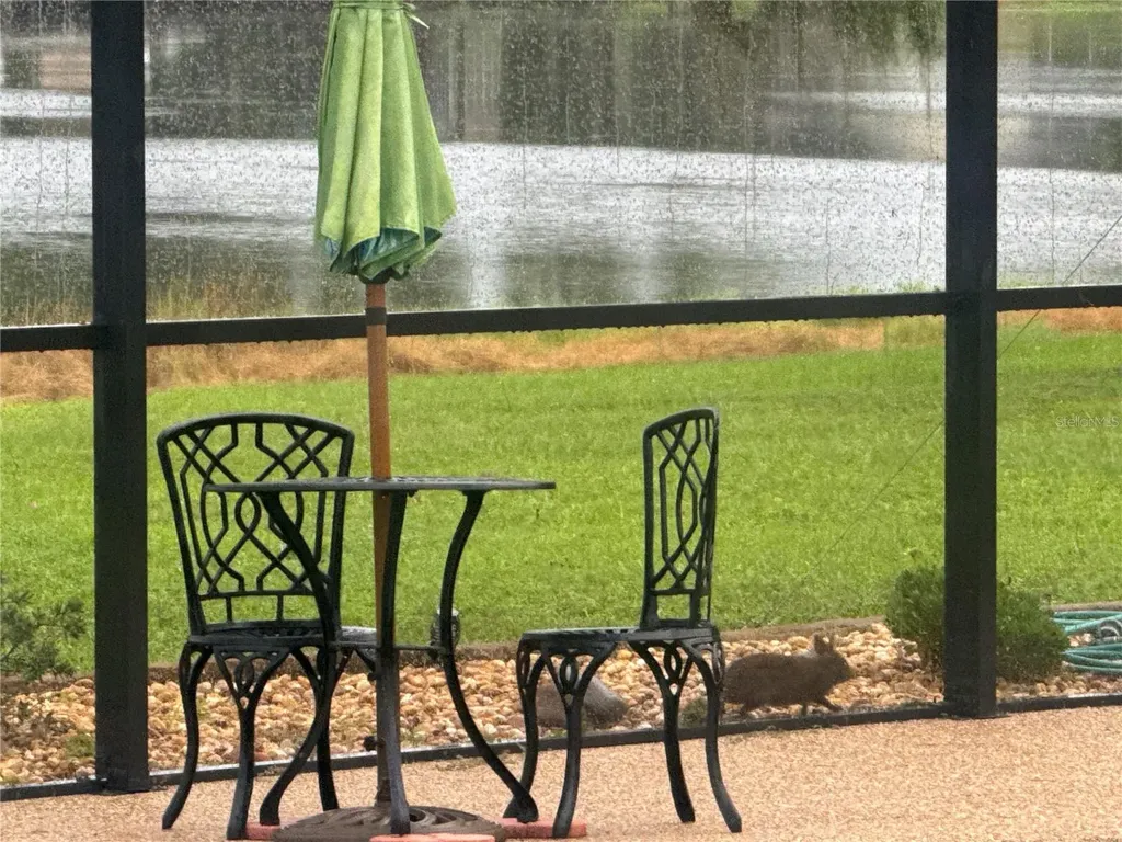 3545 Lake Padgett Drive Land O Lakes FL 34639