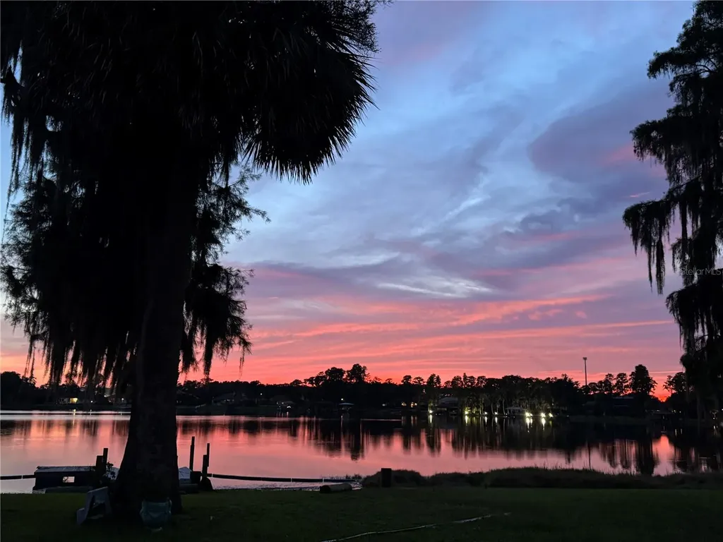 3545 Lake Padgett Drive Land O Lakes FL 34639
