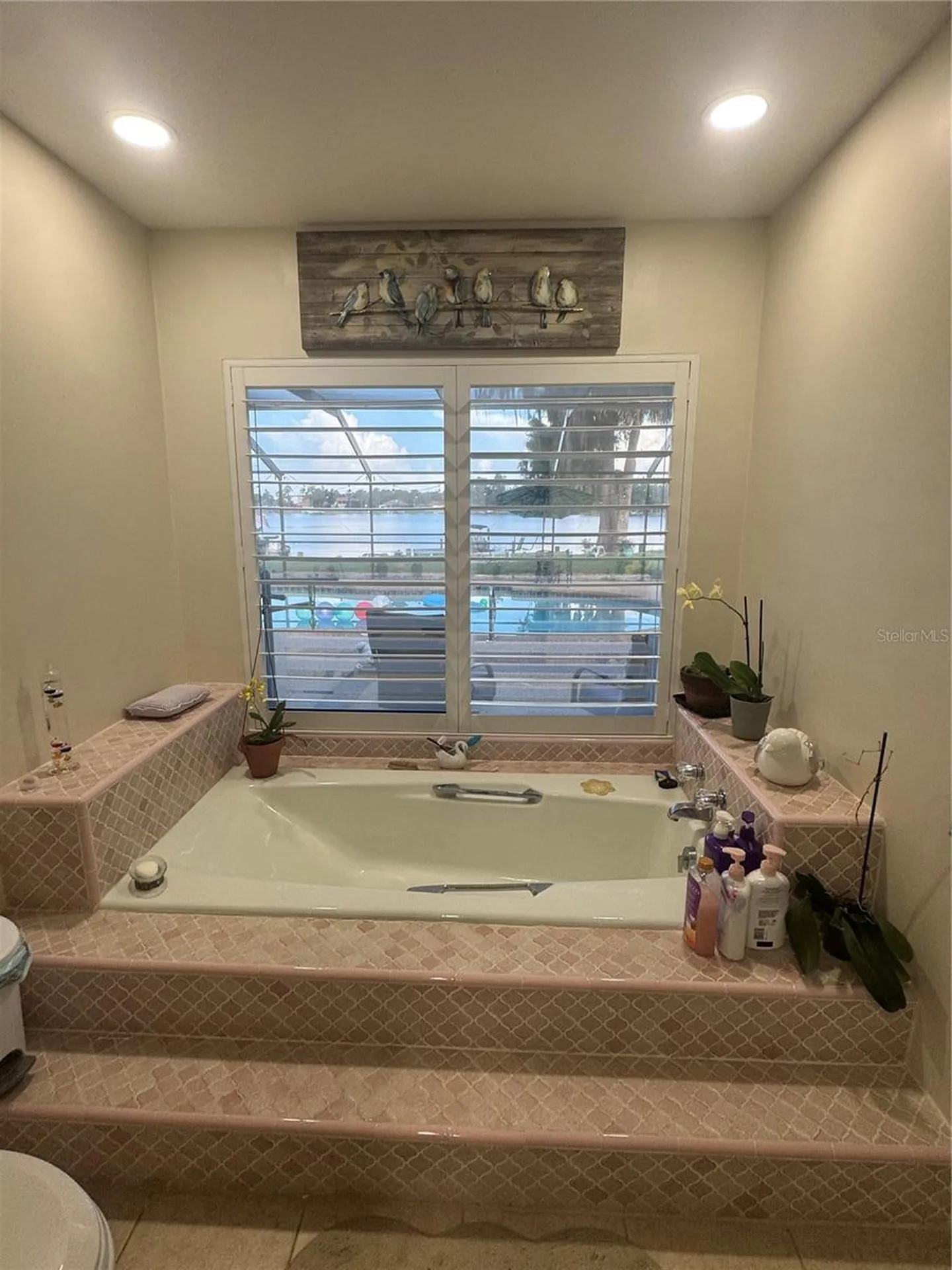 3545 Lake Padgett Drive Land O Lakes FL 34639