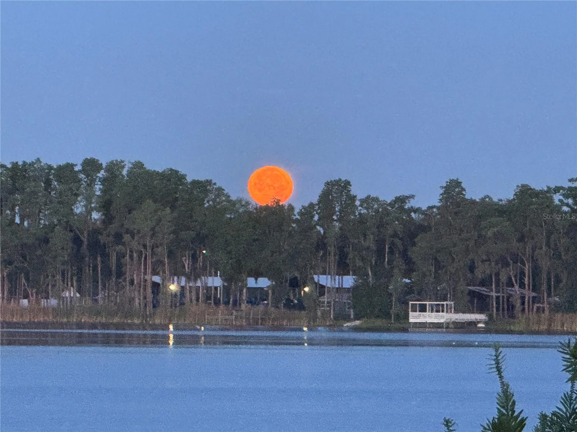 3545 Lake Padgett Drive Land O Lakes FL 34639