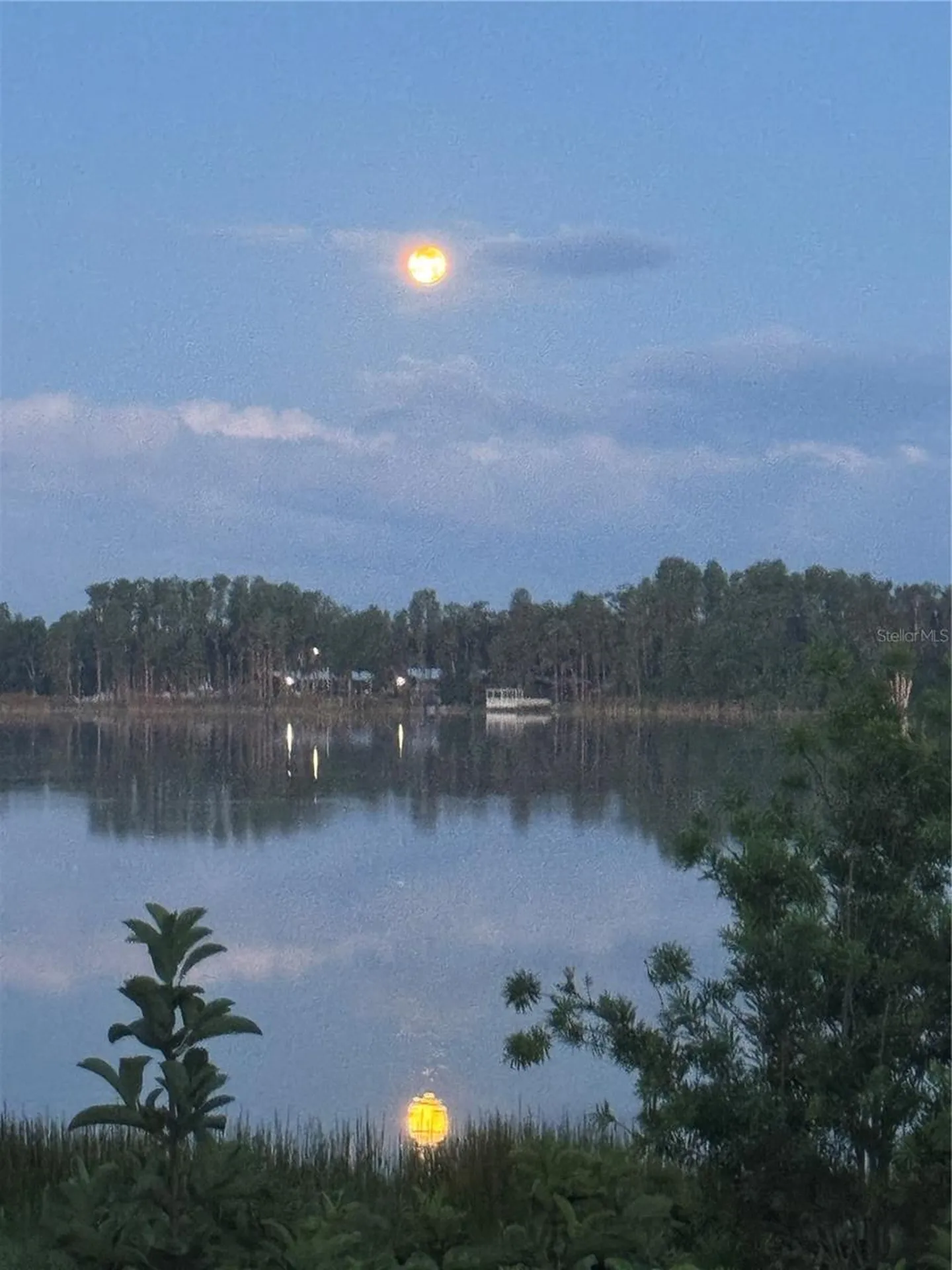 3545 Lake Padgett Drive Land O Lakes FL 34639