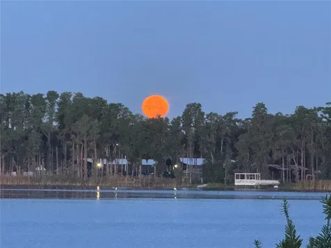 3545 Lake Padgett Drive Land O Lakes FL 34639
