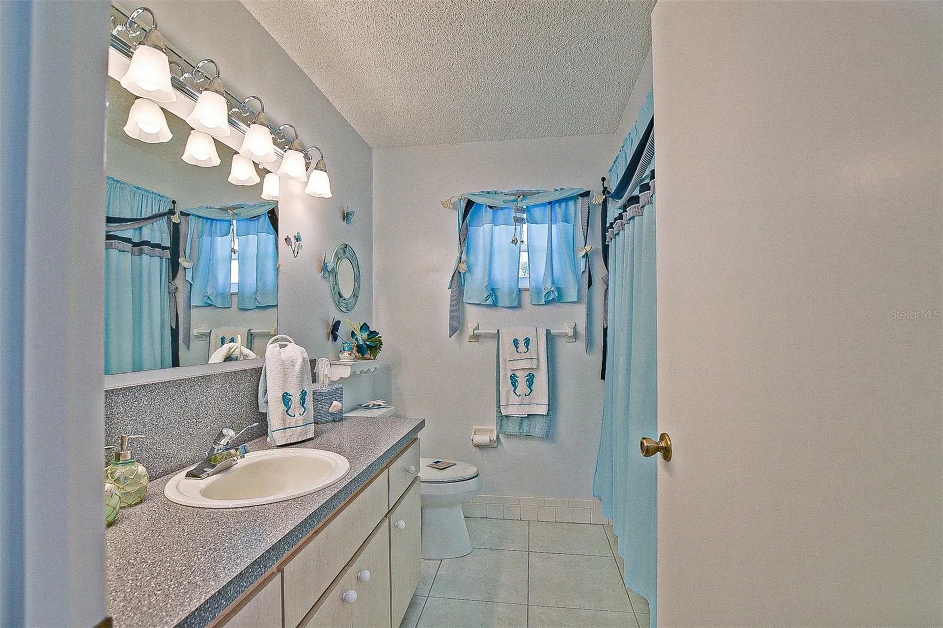 17888 SE 106th Terrace Summerfield FL 34491