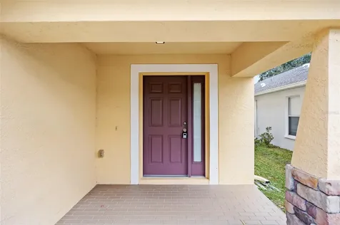31139 Masena Drive Wesley Chapel FL 33545