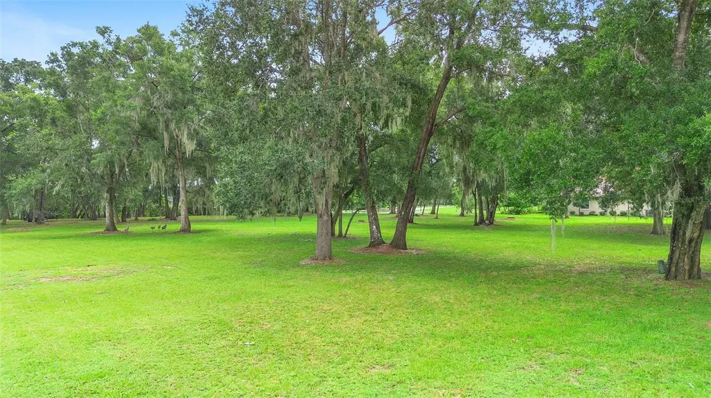 3609 Aquamarine Drive Deland FL 32724
