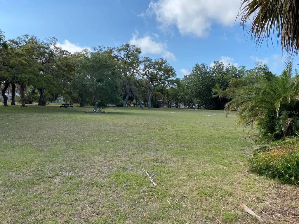 508 Ulelah Avenue Palm Harbor FL 34683