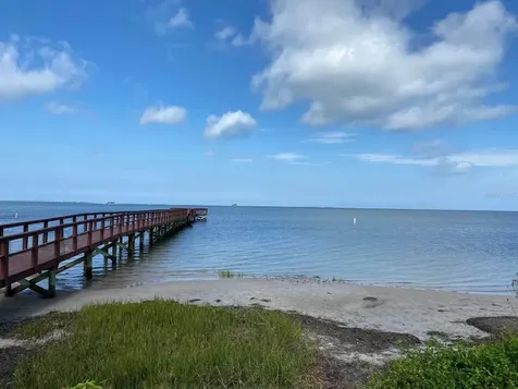508 Ulelah Avenue Palm Harbor FL 34683