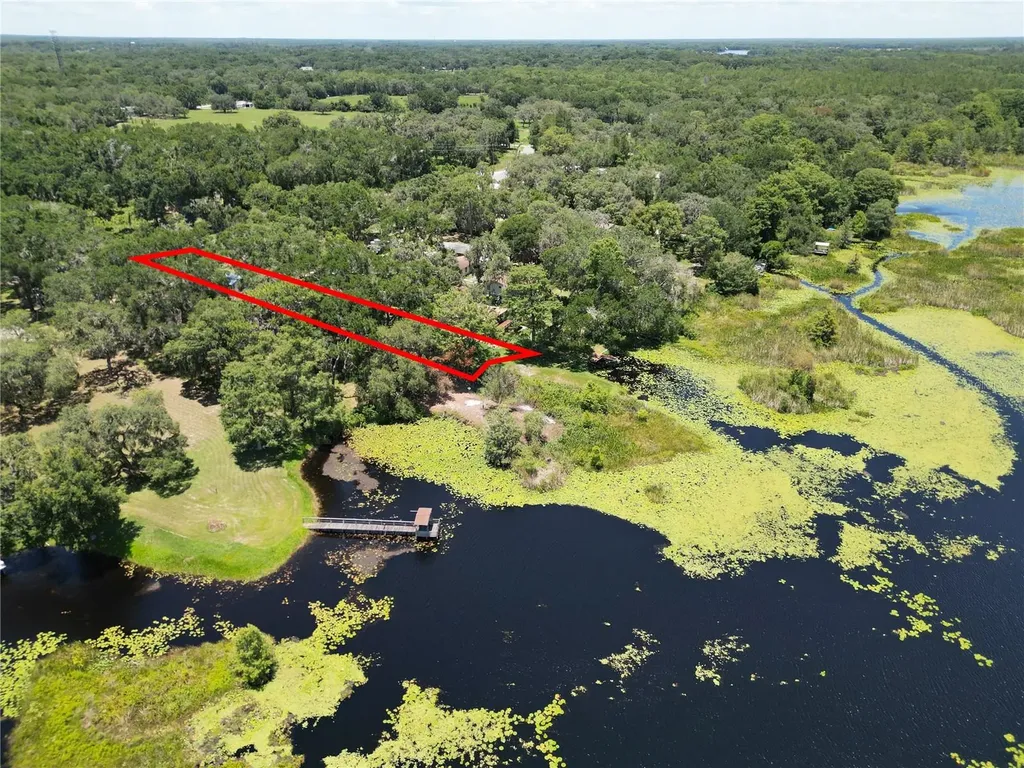8781 S Lakeshore Drive Floral City FL 34436