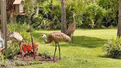 7215 San Miguel Cove Bradenton FL 34201